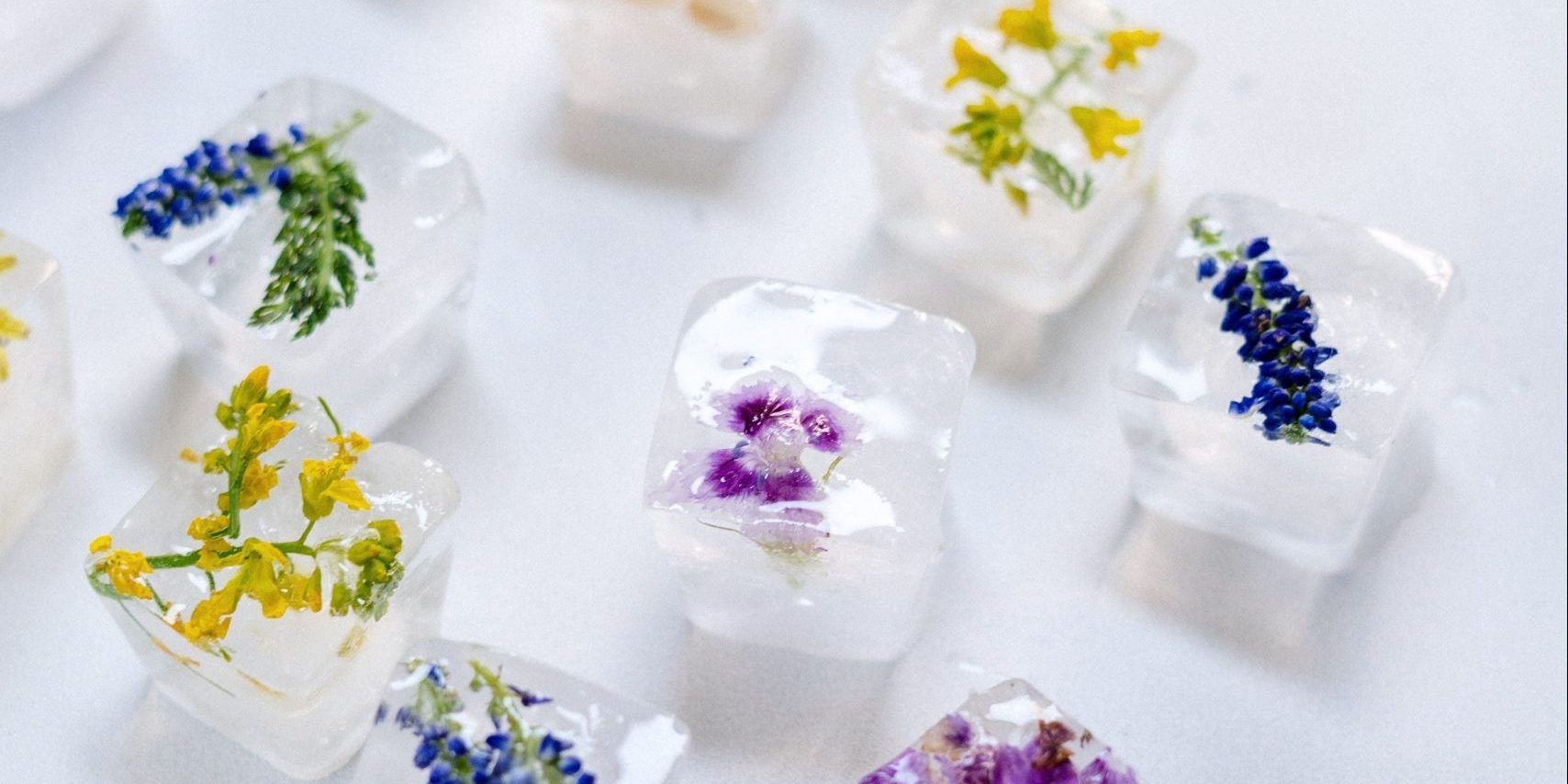 Freezer miniguida _ Federica Cannata PO